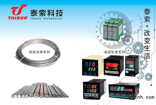 浙江泰索科技 智能感知驱动未来，物联网科技点亮行业革新